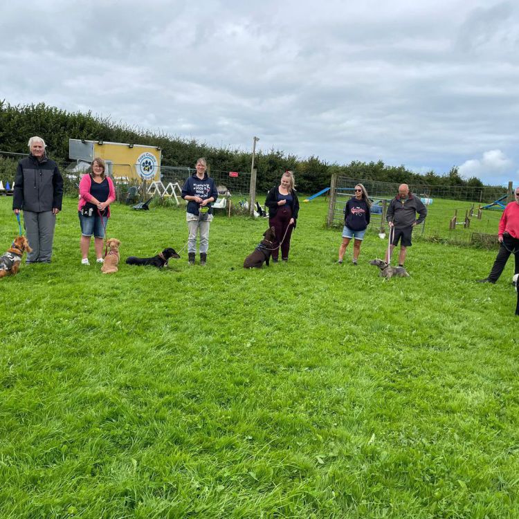 Paws Control Dog Training Home