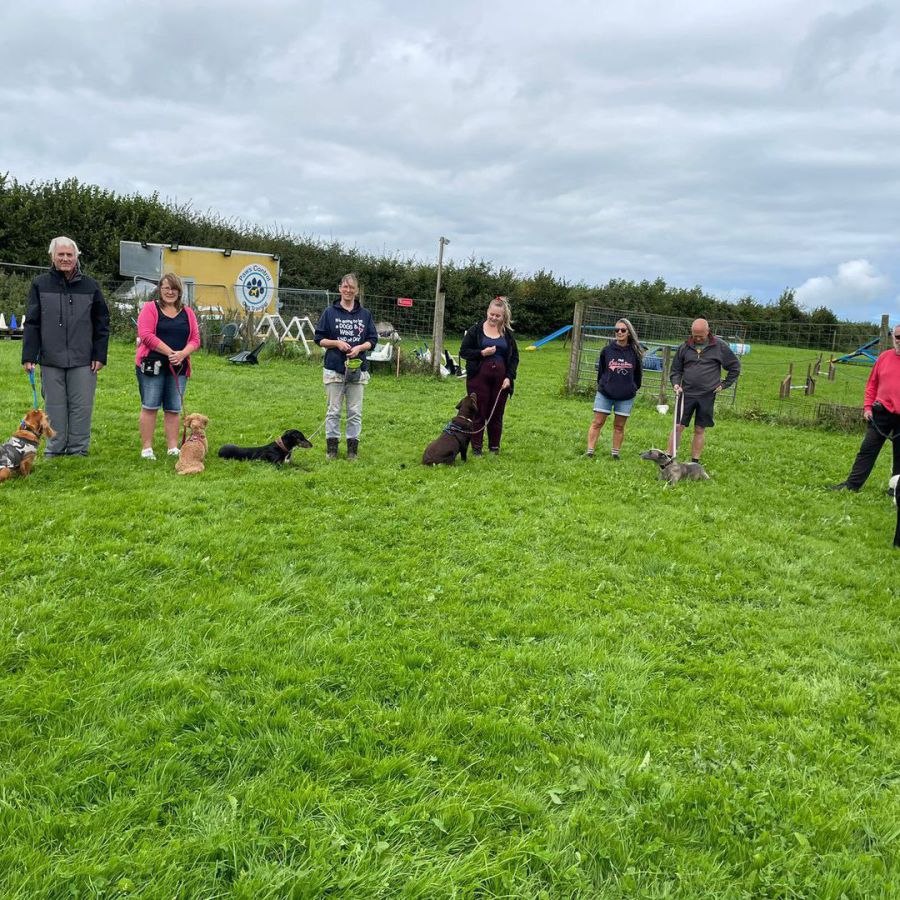 Paws Control Dog Training Home